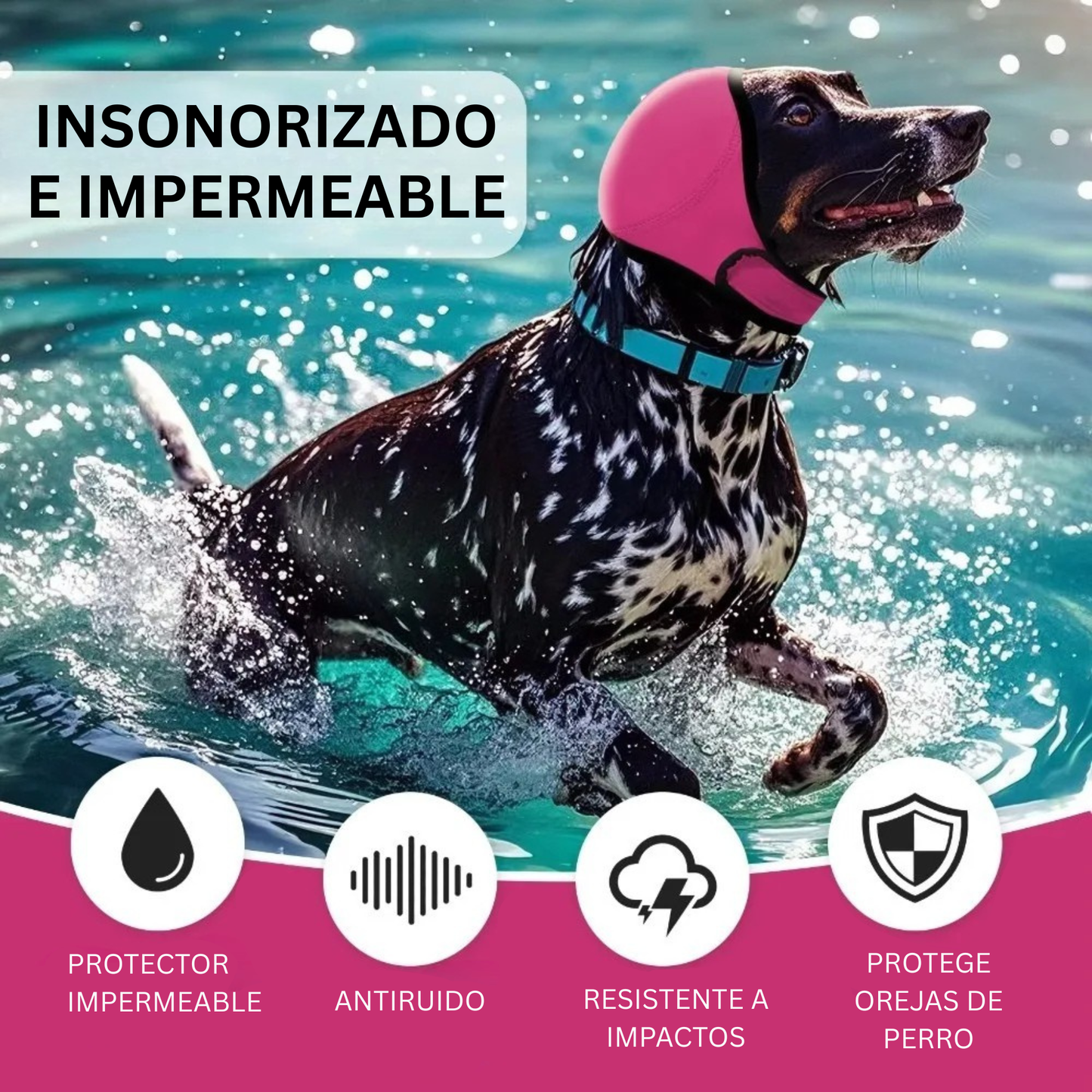 Orejeras para perros