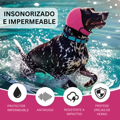 Orejeras para perros